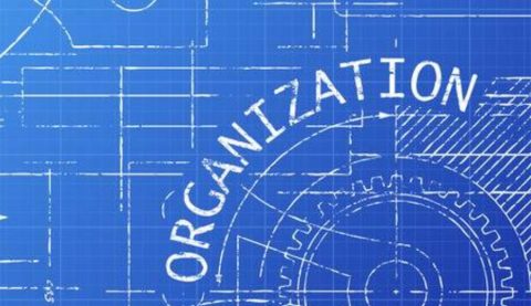 Your Organizational Blueprint. The giant leap towards a business apart from you, and not a part of you.